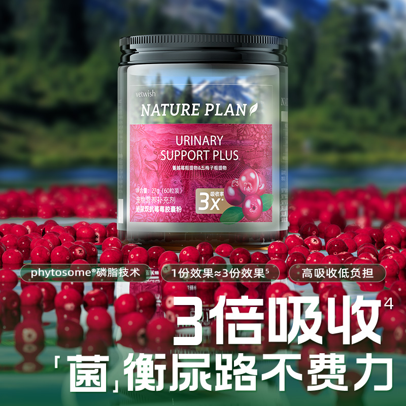主图-4